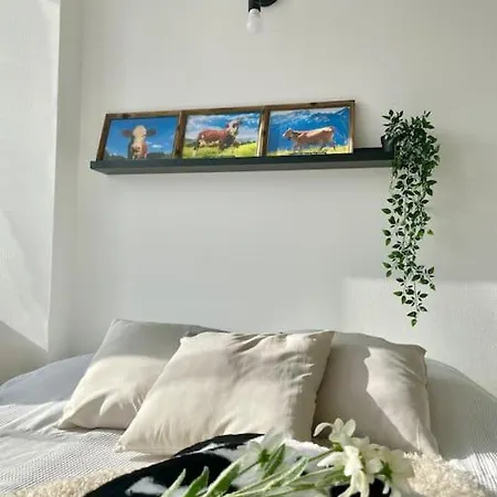La Mascotte Apartment Saint-Louis (Haut-Rhin)